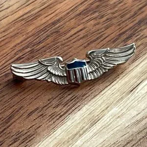 Accessories | Vintage Prewwii 1921930s 10k Gold Us Army Air Force Wings ...